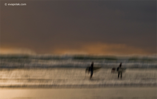 sunset surfers bethells beach